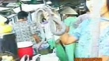 Phong su Viet kieu ve que an tet 9 - 4_6
