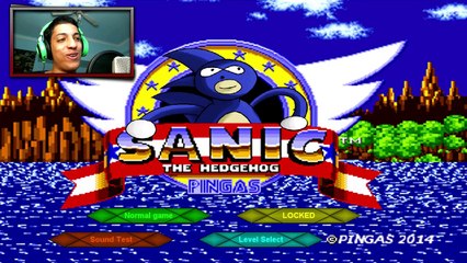Sanic The Hedgehog