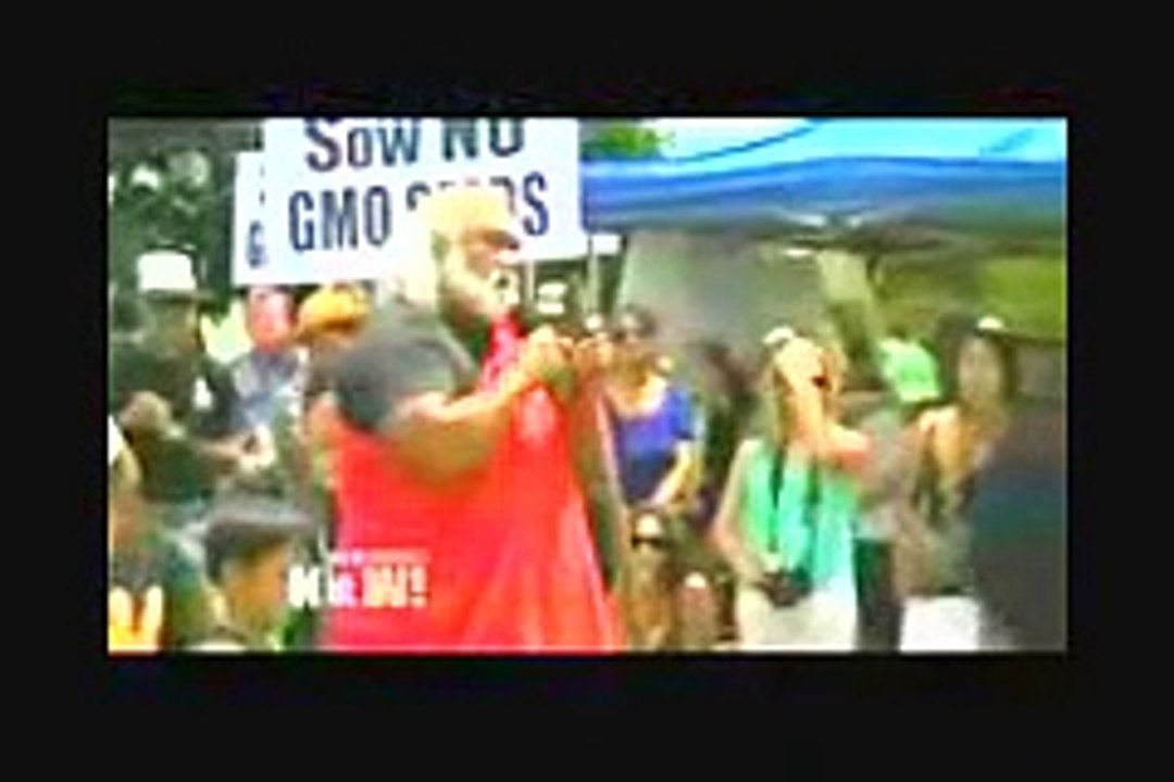 Maui v  Monsanto   Hawaii County Voters Defy Agri Giants Spending to OK Landmark Ban on GMO Crops