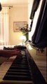 Lorenzo Fragola - the reason why ( piano cover )