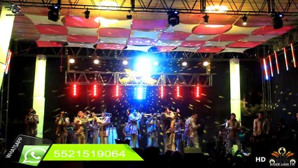 Banda Tromba Sinaloense " EL CHINELASO " ( En Vivo San Luis Tlaxialtemalco 2014 )