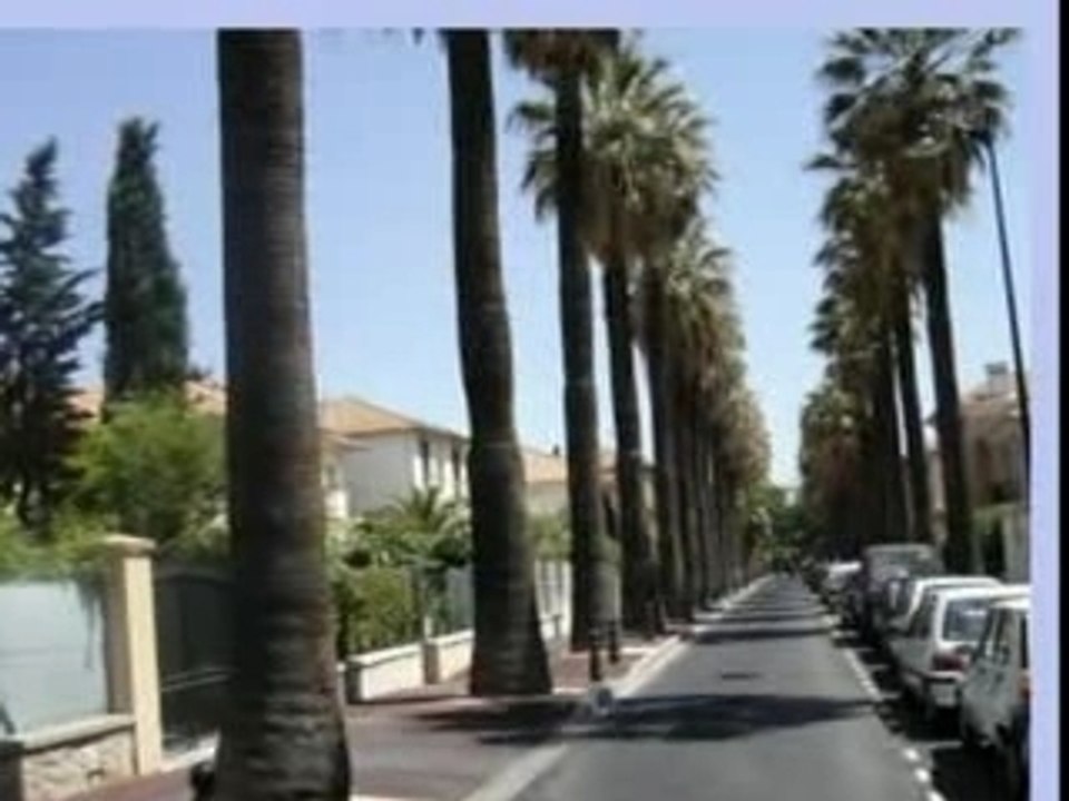 Hyéres les Palmiers