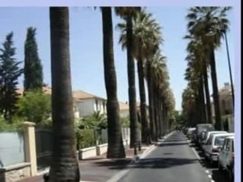 Hyéres les Palmiers