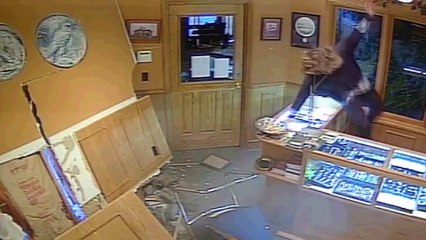 Attempts to rob coin store by driving her car through it