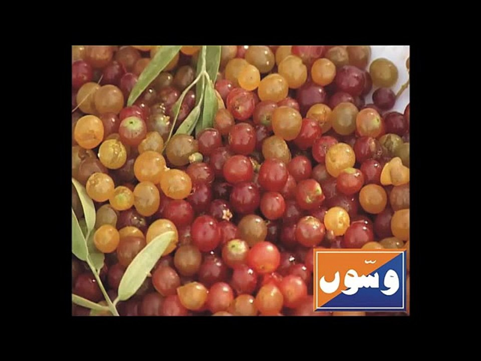 NEW SARAIKI MUSHAIRA 1981 POET PARWAZ QAISRANI