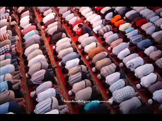 Maulana Tariq Jameel Ka Ansoo Barah Bayan Very Emotional YouTube _ Tune.pk