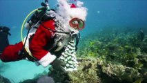 Le Père Noël fait de la plongée sous-marine