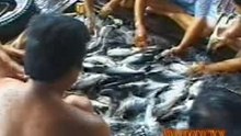 Phong Su Viet kieu ve que an tet 9 - 6 - Het
