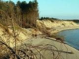 BAIE D'AUTHIE NORD Erosion par la houle en baie d'Authie au lieu dit 'le bois de sapins'  déc 2012