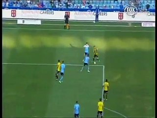 Nathan Burns Secon Goal Sydney Fc Vs Wellington Phoenix 0-2  21-12-2014