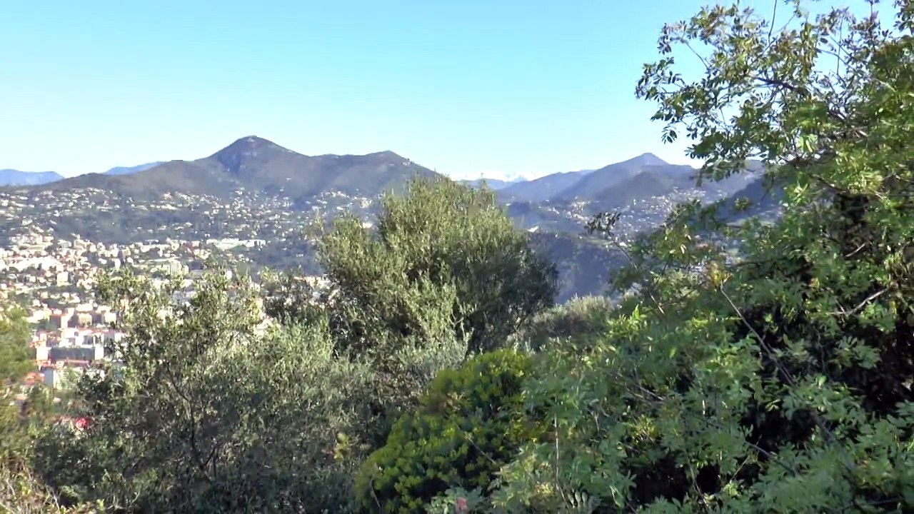mt boron