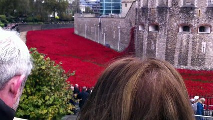 Poppies Tower of London