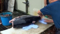 Tuna cutting in Japanese Matsudo fish market 【福栄商事】　松戸南部市場　マグロ解体ショー2014
