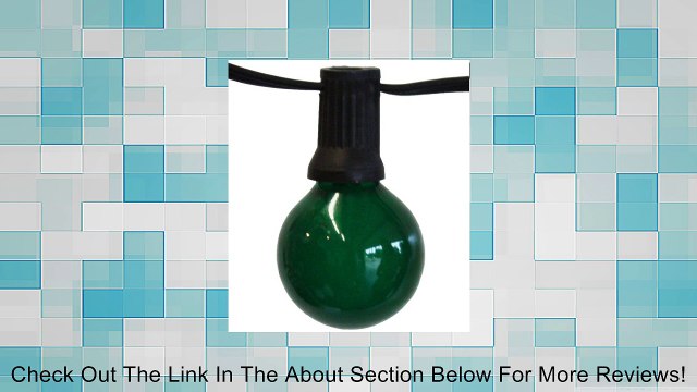 Table In A Bag SL2525A Global Party Lights with Green Bulbs, 25-Feet, 25 Lights Review