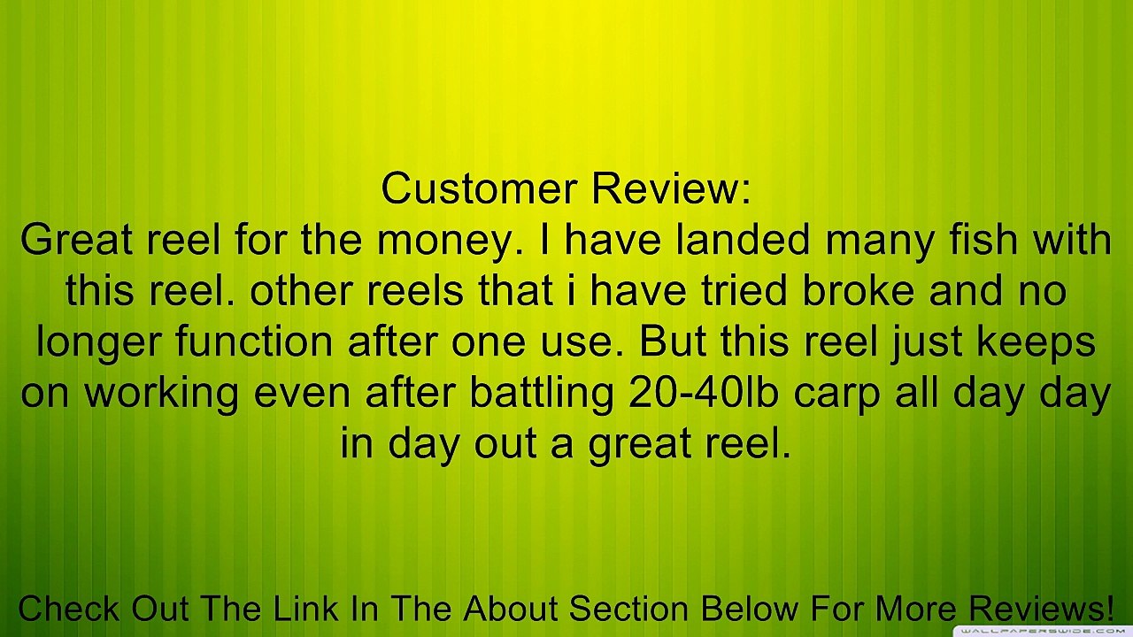 Daiwa Regal Bite and Run Saltwater Spinning Fishing Reel Review