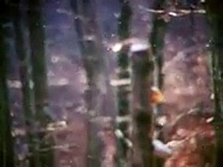 Mariah Carey - All I Want For Christmas Is You