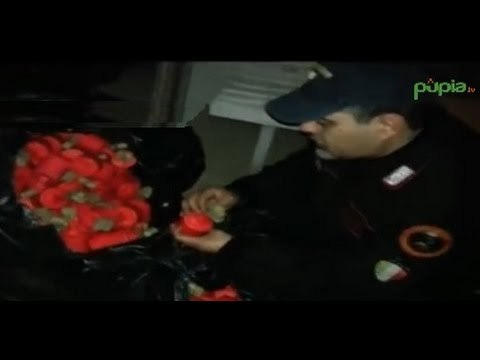 Melito (NA) - Botti, sequestrati 45mila pezzi in buste di plastica -2- (20.12.14)