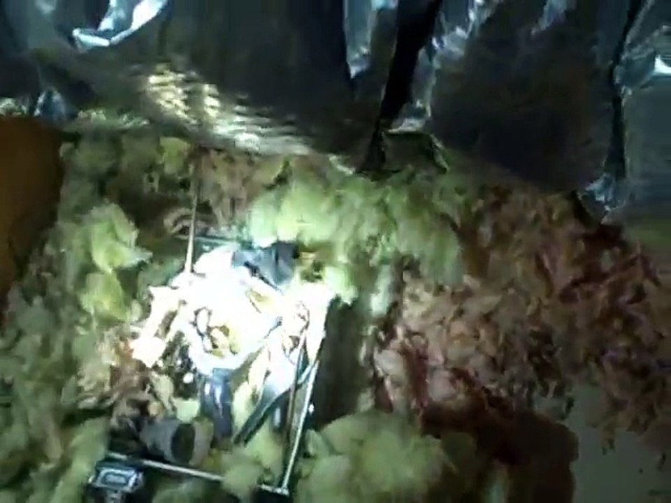 All-Pro Home Inspections, LLC