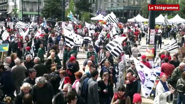 Bretagne. Le Zapping de l'année 2014