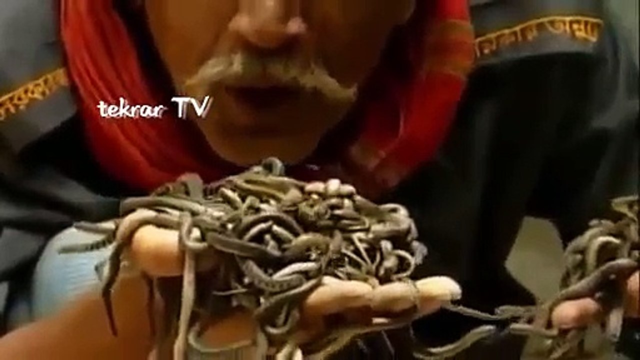 Kobra Yılanı Yiyen Adam