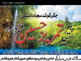 Uras BaBa Syed Manzoor Hussain Shah Astana Chilianwala (2014 part 2 Qawal arif feroz)  (6)