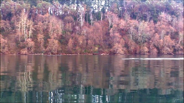 So Close encounter with Orca whales