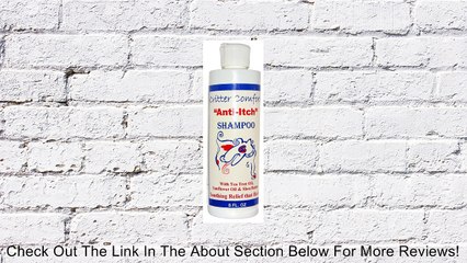 Shampoo for Dogs with Allergies, Dry, Itchy and Sensative Skin- 8 Ounce Concentrate Makes 48 Ounces of Soothing Shampoo , a Great Value Review