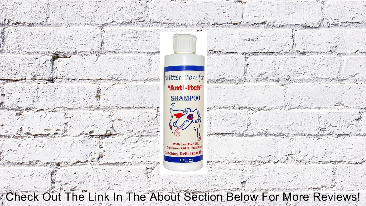 Shampoo for Dogs with Allergies, Dry, Itchy and Sensative Skin- 8 Ounce Concentrate Makes 48 Ounces of Soothing Shampoo , a Great Value Review