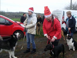 Sortie éducation canine décembre 2014