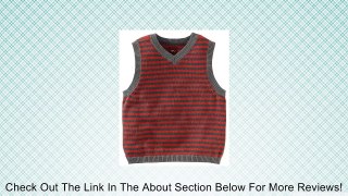 Tea Collection Little Boys' Scandi Stripe Sweater Vest, Goji, 10 Review