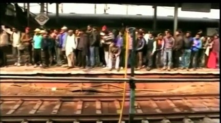 Un singe électrocuté sauvé par un autre singe dans une gare