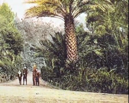 A Alma e a Gente - VI #7 - A Nossa Costa do Sol - 17 Fev 2008