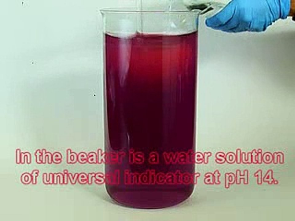 Universal buffer