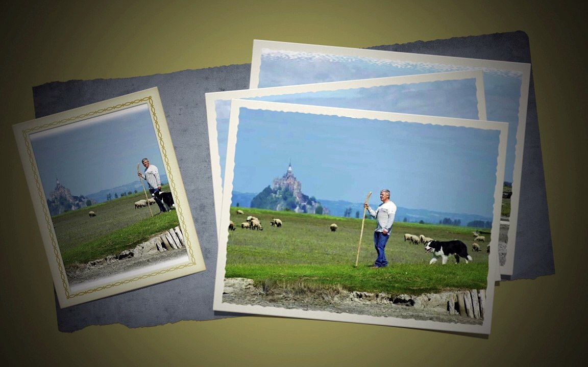 agneau pres sales AOP mt st michel