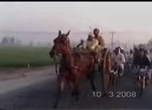 horse race moj e bahar vs bota wala gora.moj e bahar winner(owner shah nawaz rawalpindi)