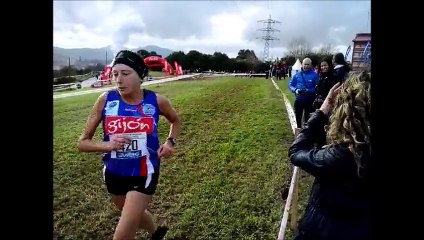 Cross de navidad, valliniello