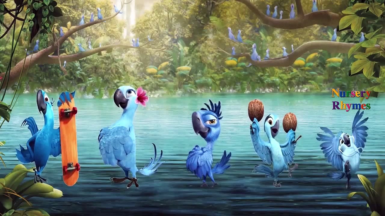 RIO 2 Cartoon Full - Daddy Finger Family Rhymes for Children Animated