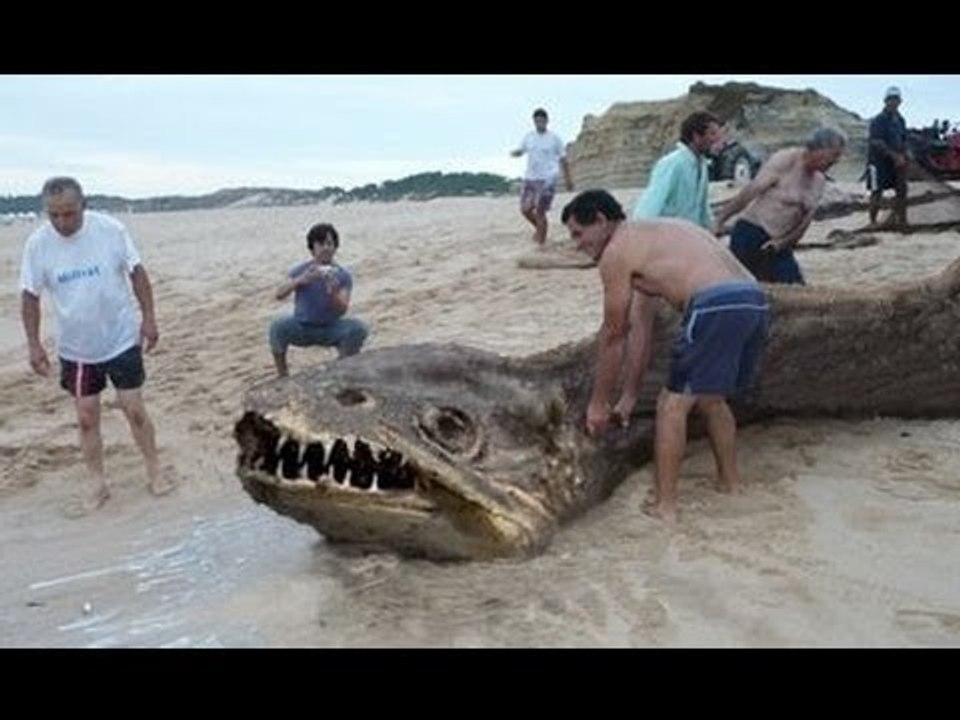 10 Misteriosas fotografias reales que no deberian existir