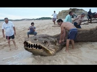 10 Misteriosas fotografias reales que no deberian existir