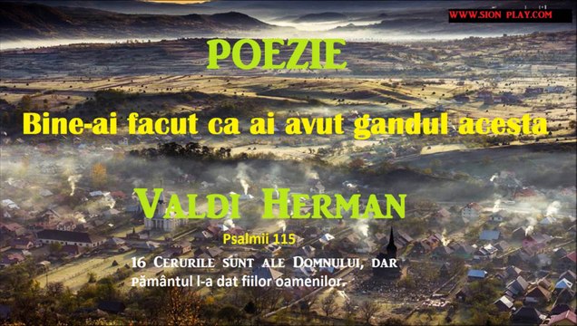 Bine-ai facut ca ai avut gandul acesta - Valdi Herman