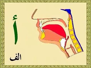 مخارج الحروف العربية و أسمائها بالرسم التوضيحي - YouTube