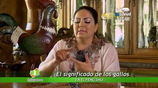 Hola Juárez - El significado de los gallos en el feng shui