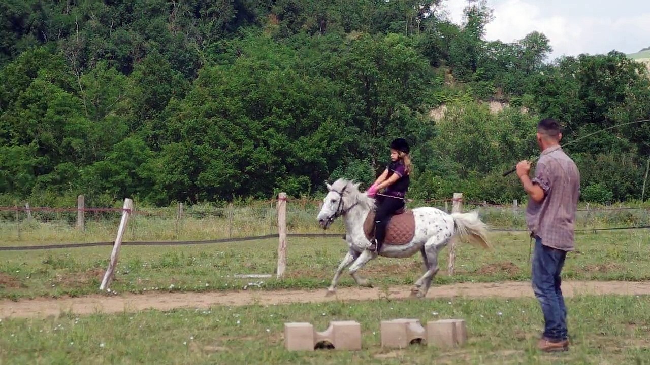 Galop Cookie