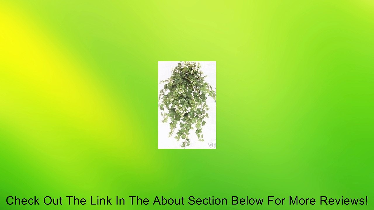 46 Inch Artificial Oxford Ivy Garland Bush Review