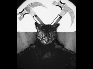 Войлок - Путин Никогда Не Умрёт