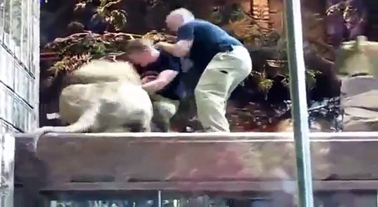 When Animals Attack People Compilation Warning: Graphic Video - video Dailymotion