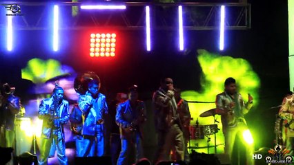 Banda Tromba Sinaloense " LA CHINA & DAMASO " ( En Vivo San Luis Tlaxialtemalco 2014 )