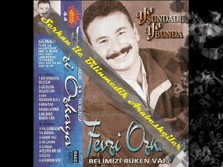 Fevzi Özkaya - Bir Sevdaya Düştüm