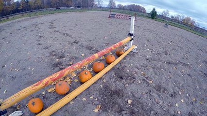 The One O'Clock Class