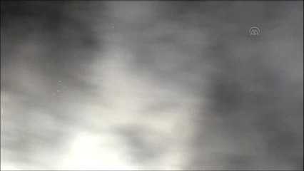 El-Baci Kaid Es-Sibsi'nin Destekçileri Zafer Kutlamasına Başladı